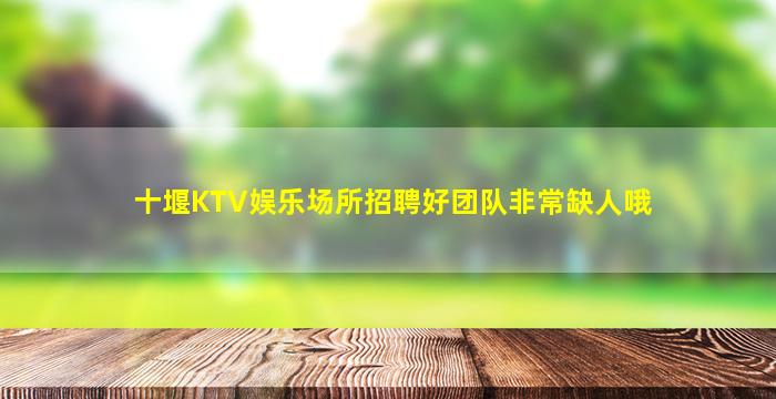 十堰KTV娱乐场所招聘好团队非常缺人哦